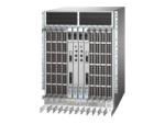 Other-Brocade-Switches